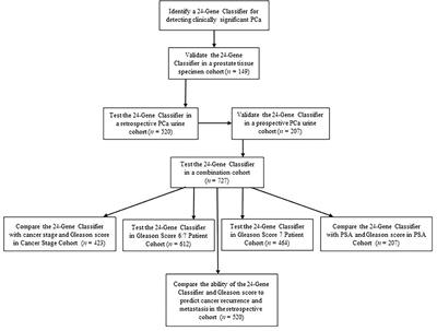 Non-invasive Urine Test for Molecular Classification of Clinical Significance in Newly Diagnosed Prostate Cancer Patients